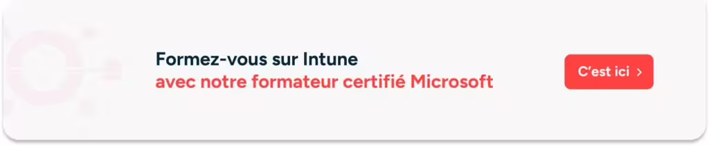V1 Cta Image Offre Dwp Formation Intune