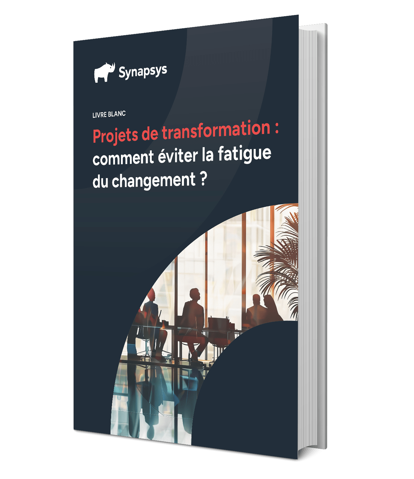 transformation dsi fatigue du changement livre blanc