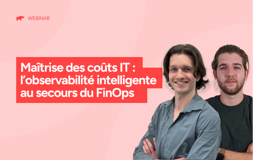 Miniature Web Observaibilité Finops